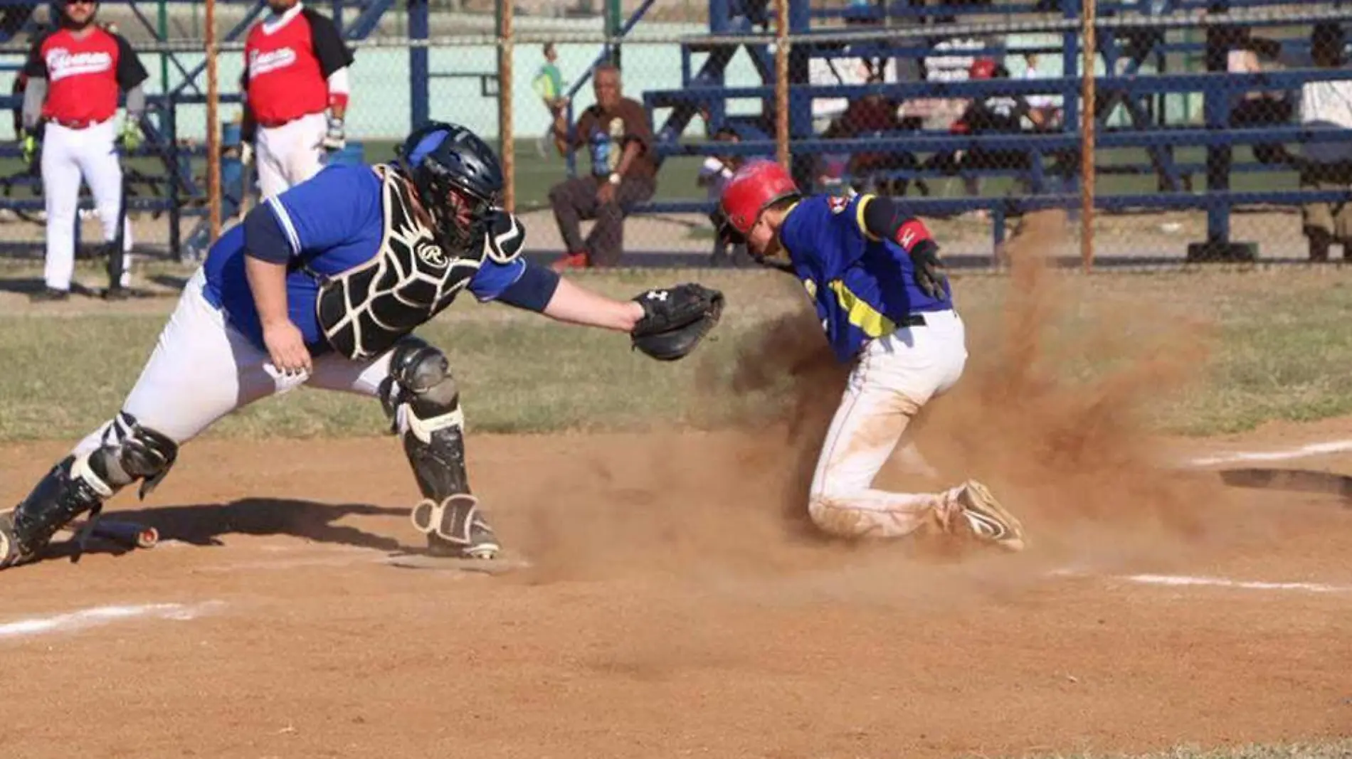 Beisbol primera fuerza